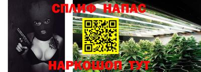 спайс Гусев